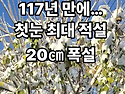 인천 대설특보 문학산 문학향교 첫눈에 파묻히고 20cm 폭설속에 묻히다