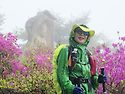 용봉산