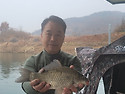 [청풍신리 낚시터] 청풍호 조황 11월..