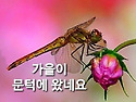 가을이 오면/방초 황준환