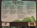 2026.6.27(토) 1321차 대모산 산행후기