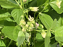 넘넘 이뿌다요