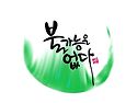 고온 폭염에 배추모종 살리기2