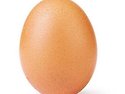 &#129370; 달걀은 하..
