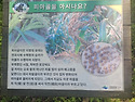 조금의 상식으로 ~~