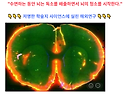 수면호르몬 멜라토닌과 두개천골요법(CST)의 과학적 연결고리
