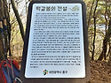 6월 11일 수요산행 / 금동고개에서 떡갈봉 넘어 먹티까지