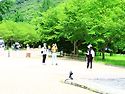 선운산 5