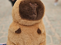 카피바라 가방 귀엽네요