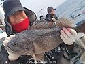 2.26 줄타는 양포 열기.우럭조황입니다..