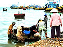 베트남 무이네 해변의 어부들