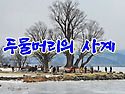 두물머리 사계