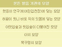 과학적 원리로 만들어진 ..