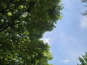 산책