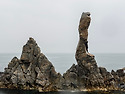 삼척여행