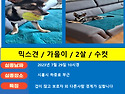 경기도 시흥시에서 잃어버..
