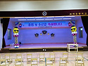 홍천 서석초등학교 졸업식풍선장식