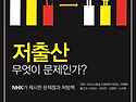 저출산 무엇이 문제인가(이경수 교수,..