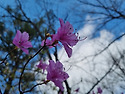 04.13 수락산