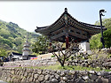 2025단월중학교 총 동문 체육대회 11회동창생(2)