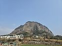3월11일 제주 여행지 풍경