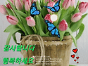 월요일 인사말 이미지 / ..