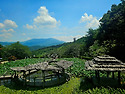 수선사