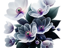 꽃
