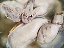 저녁은 백숙이예요~