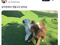 유치원에서 개통사고 당하심