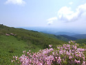 소백산