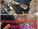 민초산행