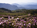 황매산