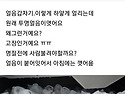 제빙기 얼음 봐주세요.