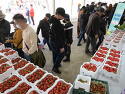 지진호(장훈13회) 논산딸기축제, 전국에서 손꼽히는 축제로 인정받아&#65279;