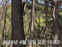 양학산 다녀 오든중 다람쥐 보면서 찰..