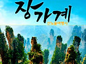 [장가계] 4월12-16일(5..