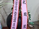 개원일 내부 축하화분