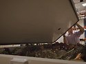 인간 퇴비화 장례&rsquo;(Human Composting Burial) 방식을 2027년부터 허용하는 법안에 서명했다.