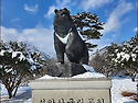 ▣ 동해바다:- 7번국도을 ..