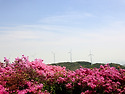 의령 한우산
