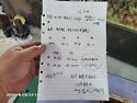 트라고11년 오토12단 기본형 180km..