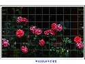 5월 31일 일요일 인사방 입니다.