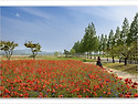 6월 1일 월요일 아침인사방