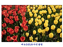 5월 2일 금요일 인사방입니다.