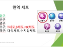 항암 치료 중 면역력 회복에 도움이 되는 방법. &#8203;