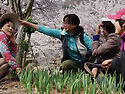 경주숲속생명의원
