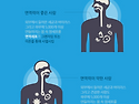 2025년 2월 21일 부터 국내서도 &#8203; 줄기세포,면역세포 국내 치료 가능하다