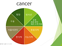 고농도 비타민C 주사 효과에 관하여 &#8203;