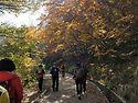 지리산 피아골